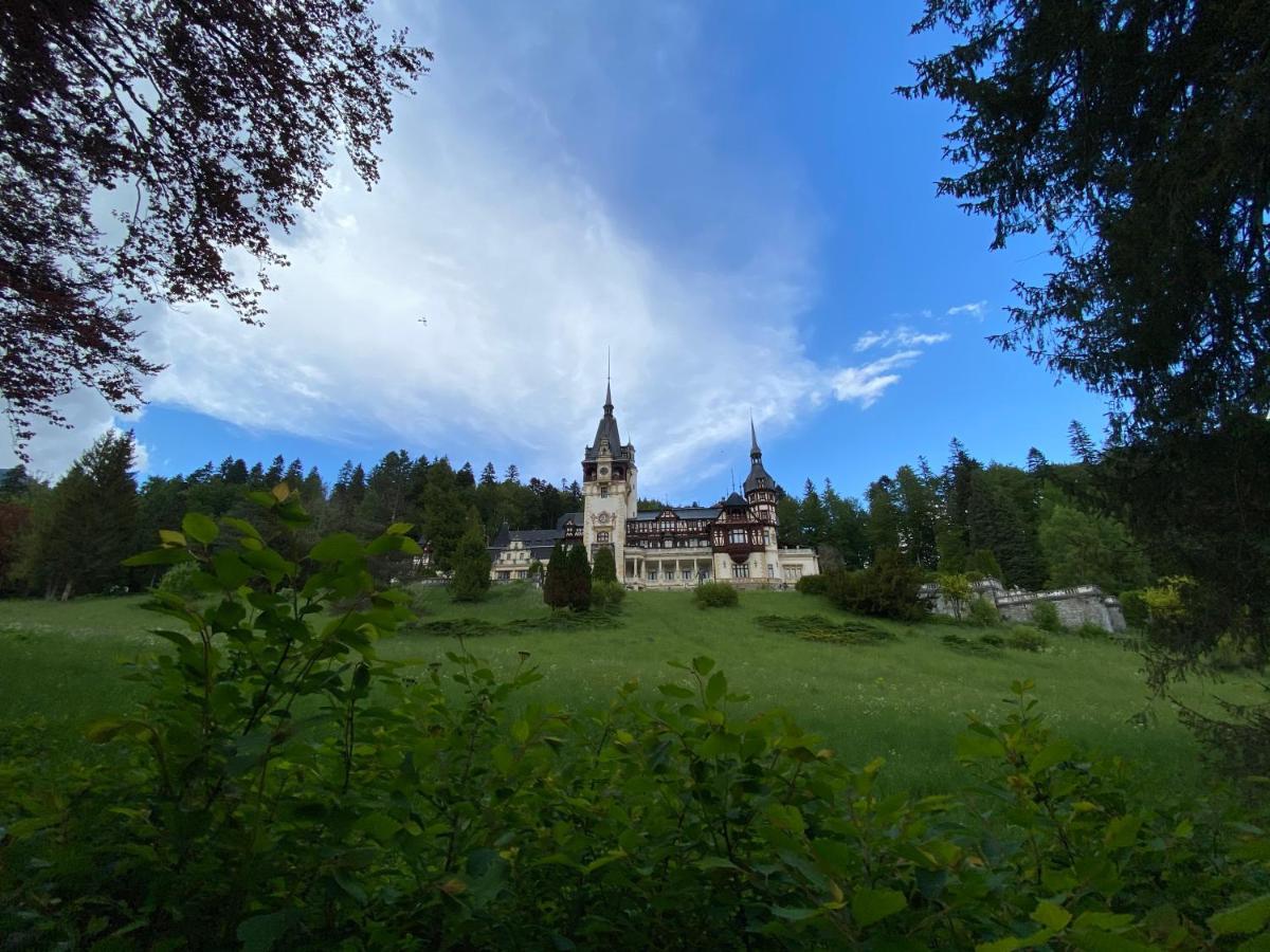 Vila De Argint Aleea Pelesului Nr 2 Sinaia Exterior photo