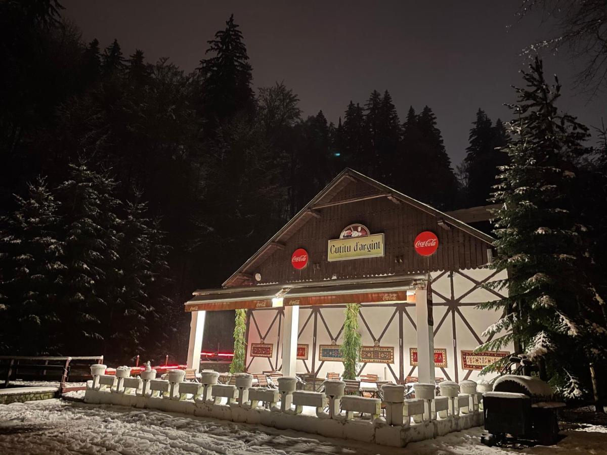 Vila De Argint Aleea Pelesului Nr 2 Sinaia Exterior photo