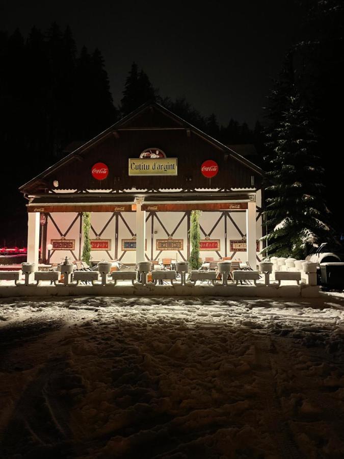 Vila De Argint Aleea Pelesului Nr 2 Sinaia Exterior photo