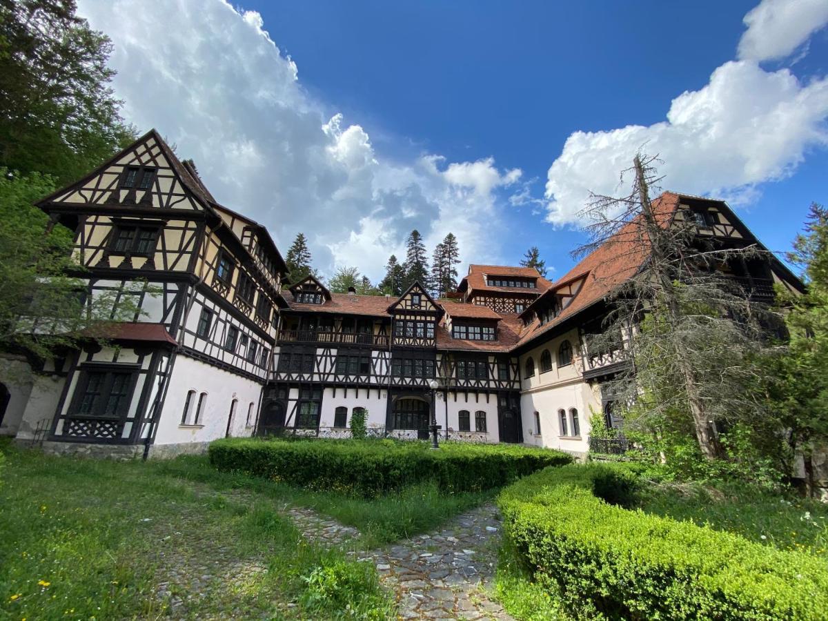 Vila De Argint Aleea Pelesului Nr 2 Sinaia Exterior photo