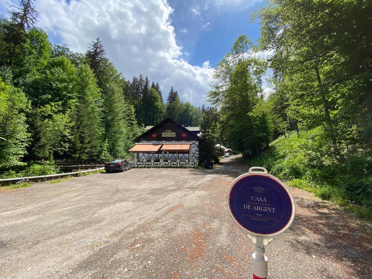 Vila De Argint Aleea Pelesului Nr 2 Sinaia Exterior photo
