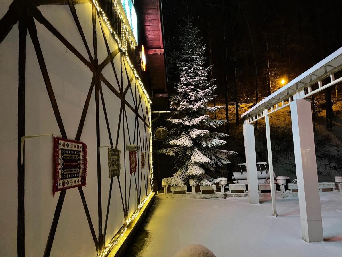 Vila De Argint Aleea Pelesului Nr 2 Sinaia Exterior photo