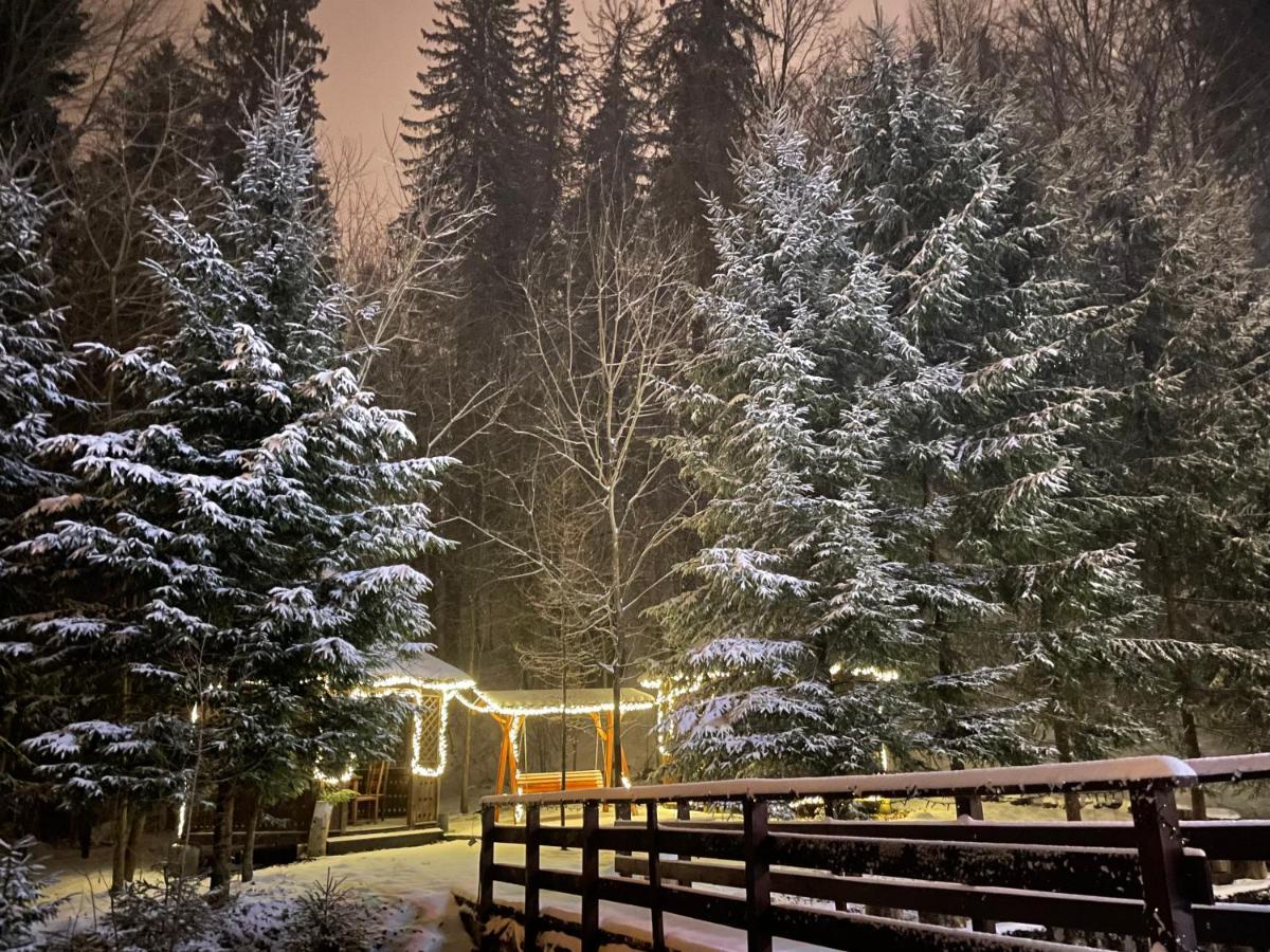 Vila De Argint Aleea Pelesului Nr 2 Sinaia Exterior photo